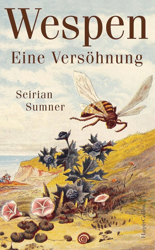Willkommen wespen eine versöhnung