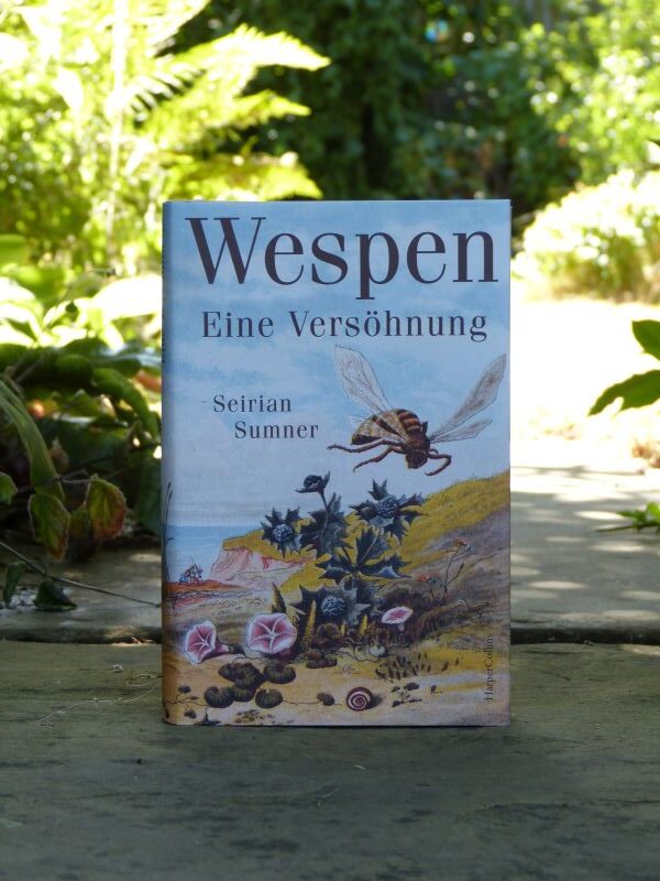 Seirian Sumner Wespen